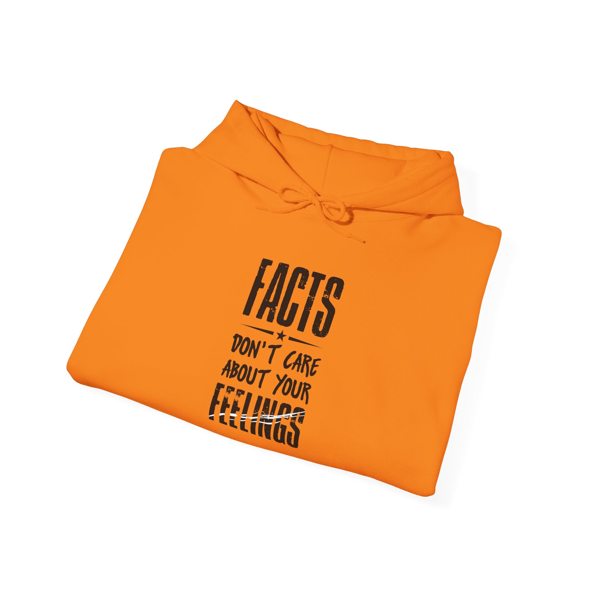 FACTS I don’t care Hooded Sweatshirt