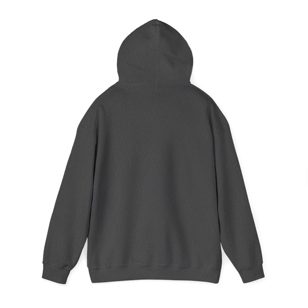 Do Not Disturb Hooded Sweatshirt