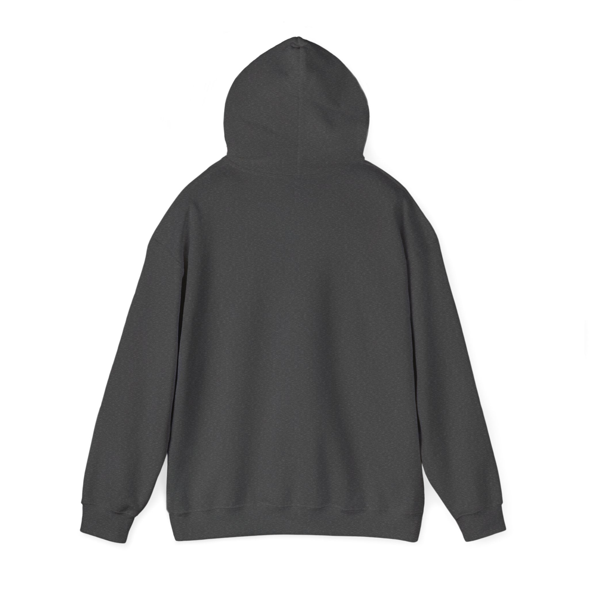 Do Not Disturb Hooded Sweatshirt